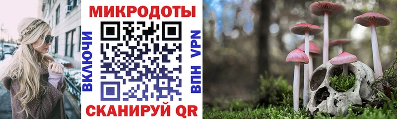 Псилоцибиновые грибы мухоморы OMG Красный Холм наркошоп